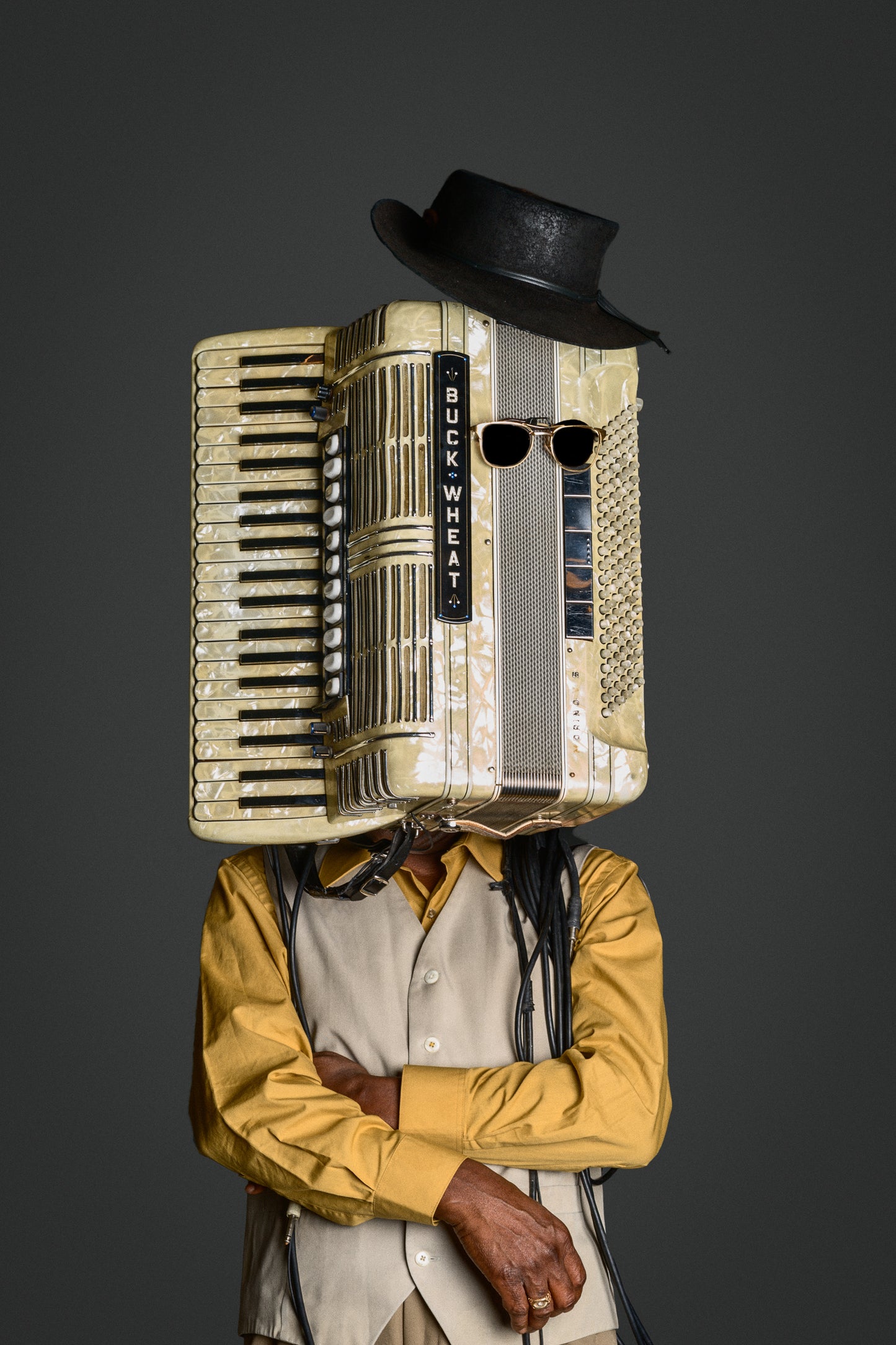 Buckwheat Zydeco Instrumenthead