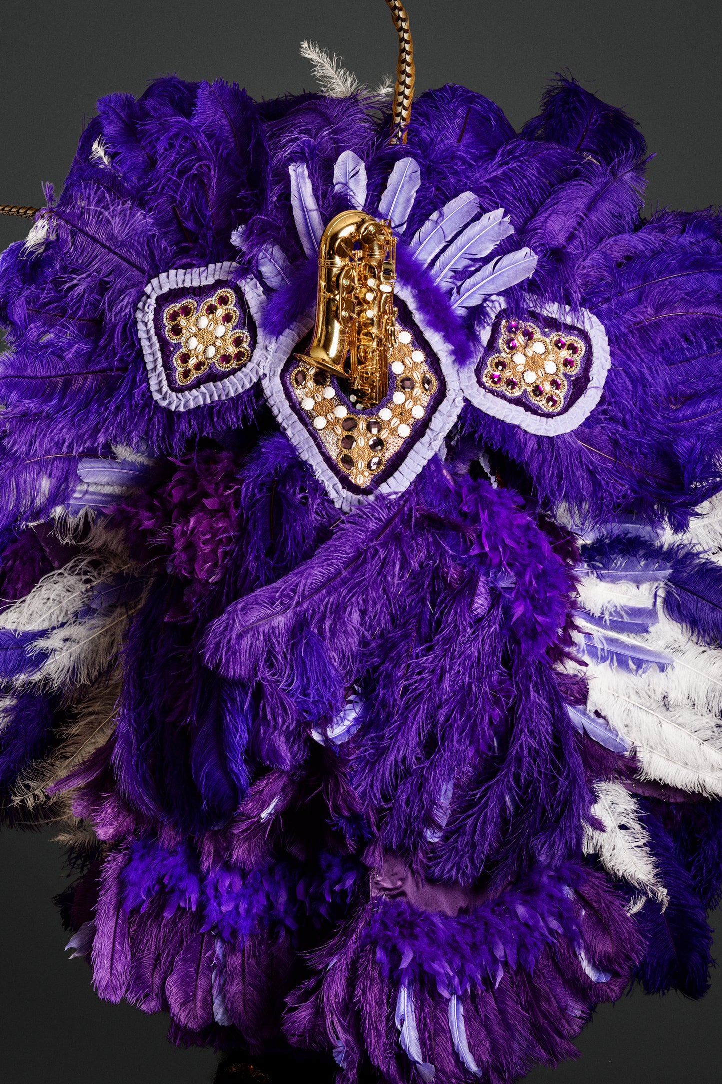 Big Chief Donald Harrison Instrumenthead