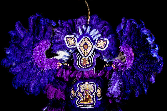 Big Chief Donald Harrison Feathers