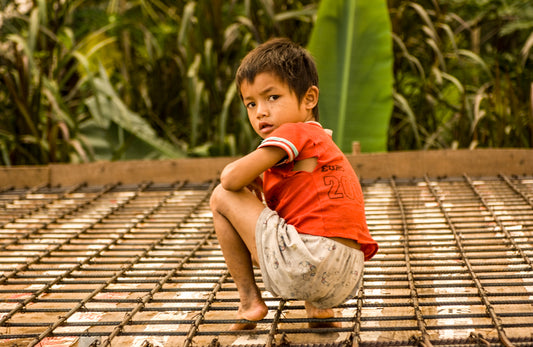 Cambodia 3