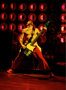 Flea (Red Hot Chili Peppers)