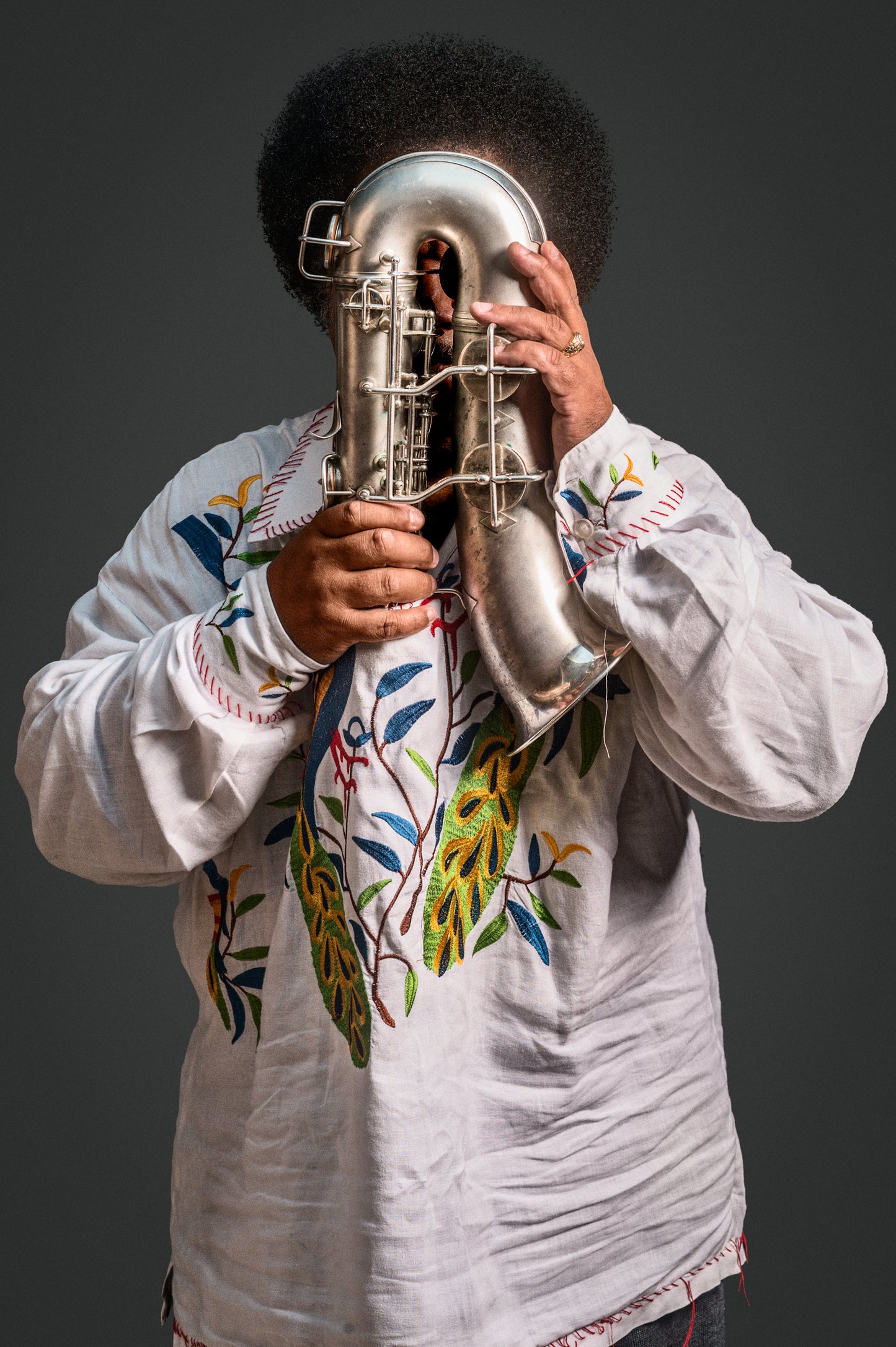 Ron Holloway Instrumenthead