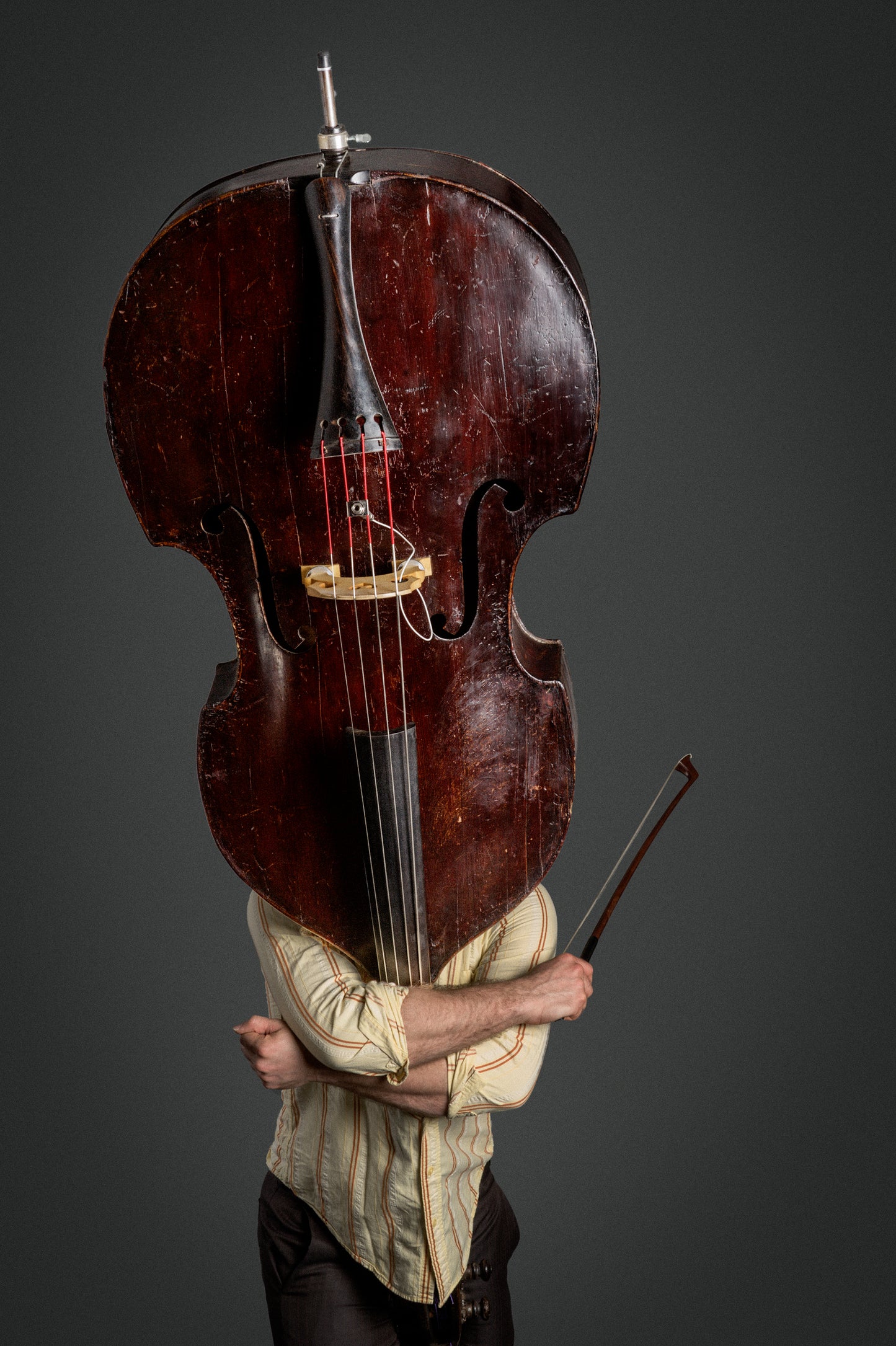 Todd Sickafoose Instrumenthead