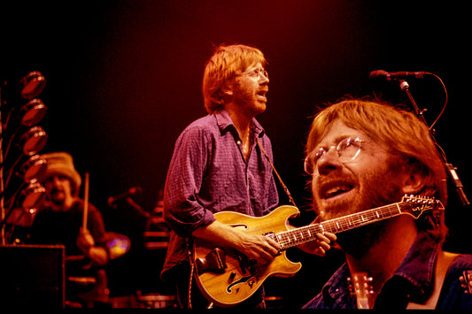 Trey Anastasio